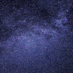 Vision of an Afterlife