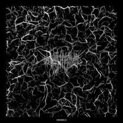 Hexadic II