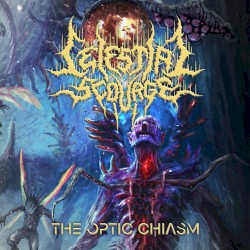 The Optic Chiasm