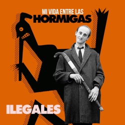 Mi vida entre las hormigas