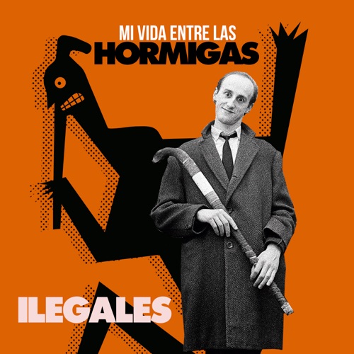 Mi vida entre las hormigas
