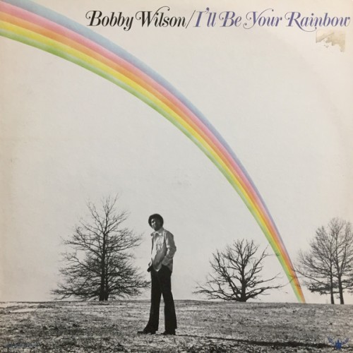 I'll Be Your Rainbow