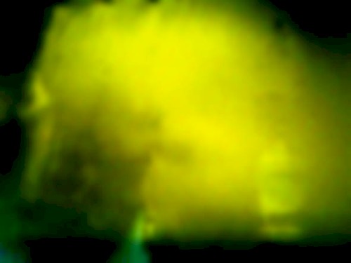 Nu’m