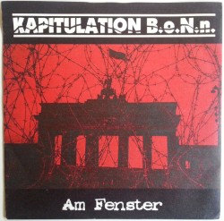 Am Fenster