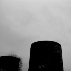 Absention