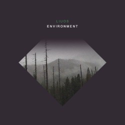 Environment