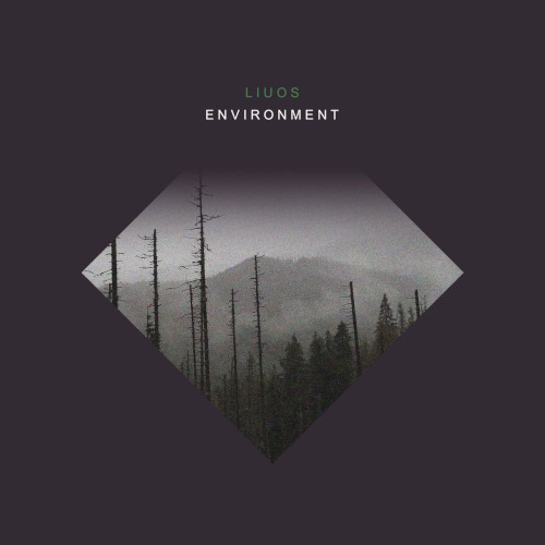 Environment
