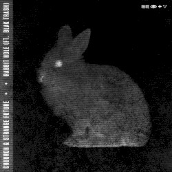 Rabbit Hole