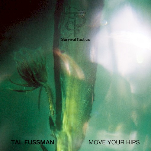 Move Your Hips