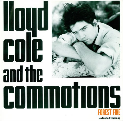 Forest Fire