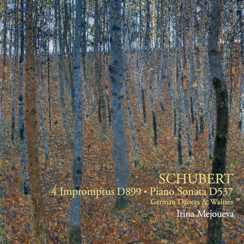 Schubert - 4 Impromptus D. 899, Piano Sonata D. 537, etc.