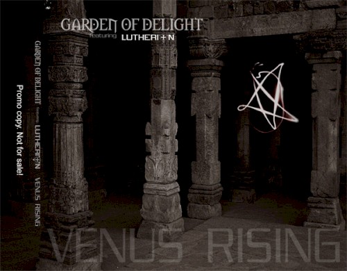 Venus Rising