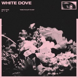 White Dove