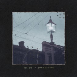 Blue Black Crows