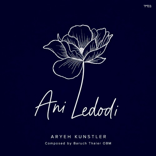 Ani Ledodi