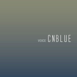 VOICE