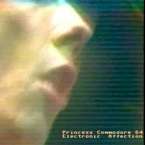 Electronic Affection