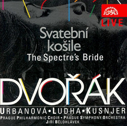 Svatební košile