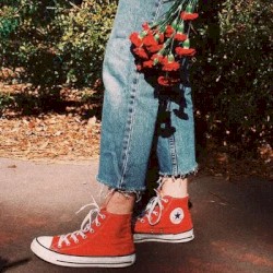 Indie + Pop + Rock Beats