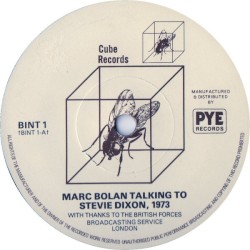 Marc Bolan Talking to Stevie Dixon, 1973