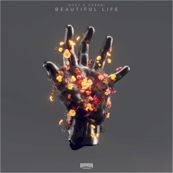 Beautiful Life