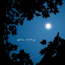 Night Time Wonderings