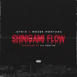 Shinigami Flow