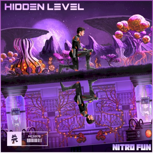 Hidden Level