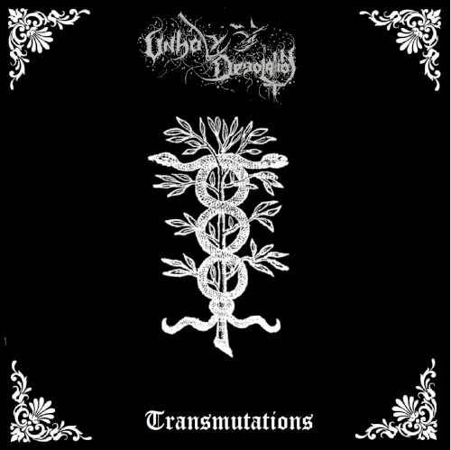 Transmutations