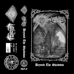 Beyond The Shadows
