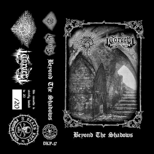 Beyond The Shadows