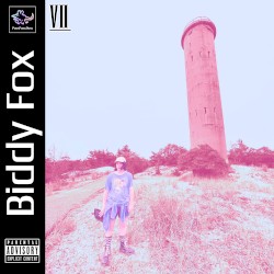 BIDDY FOX VII