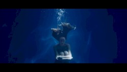 DIVE