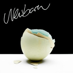 Newborn
