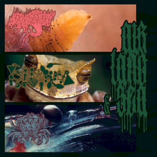 Air, Land & Sea (Speciesnoise War Split)