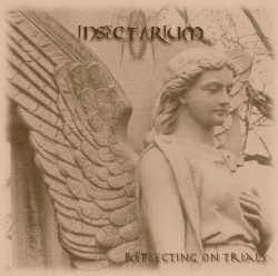 Reflecting on Trials