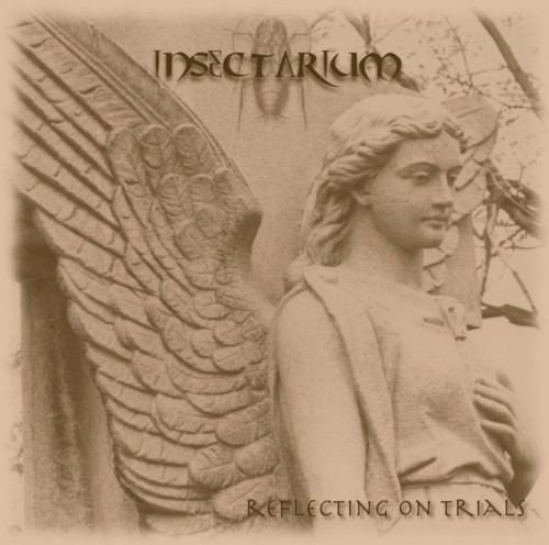 Reflecting on Trials
