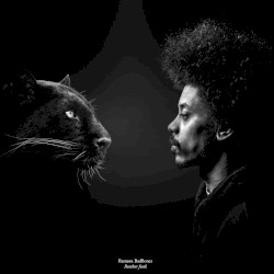Panther Funk