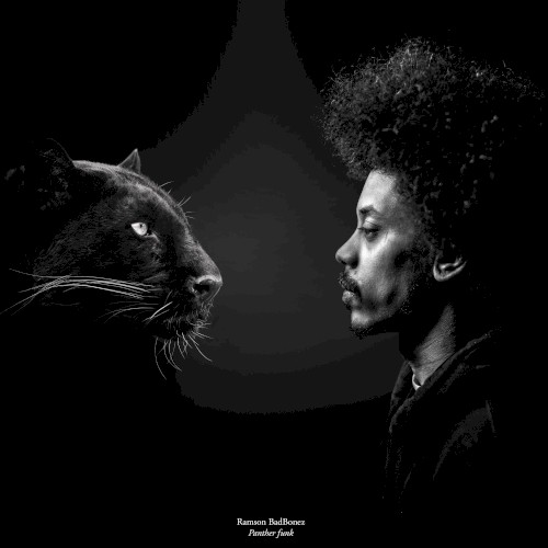 Panther Funk