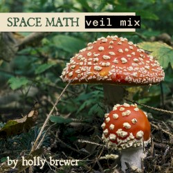 Space Math (Veil mix)