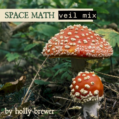 Space Math (Veil mix)