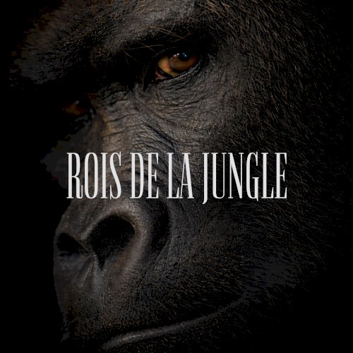 ROIS DE LA JUNGLE
