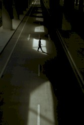 Lonely Stillness