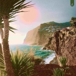Palm Tree Cove