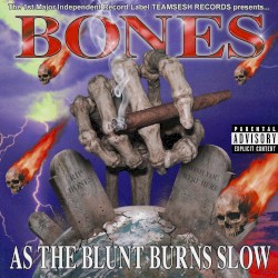 AsTheBluntBurnsSlow