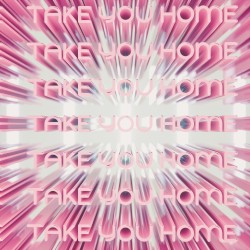 Take You Home