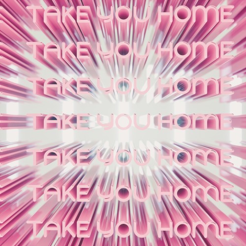 Take You Home