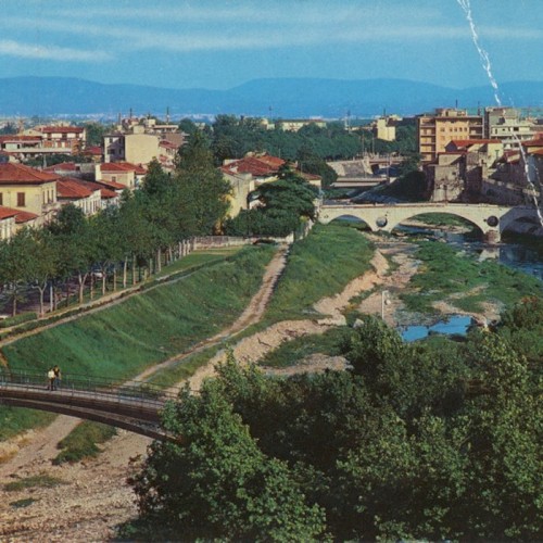 Bari