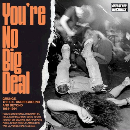 You’re No Big Deal: Grunge, the U.S. Underground and Beyond, 1984-1994