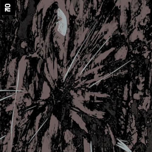 Medusa / IHYM VIP